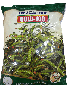 GOLD-100